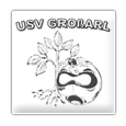 Logo Grossarl